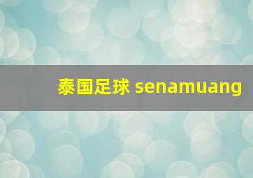 泰国足球 senamuang